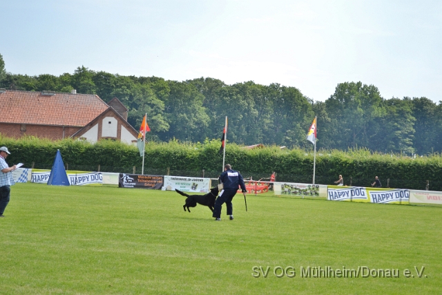 DSC_1260.JPG