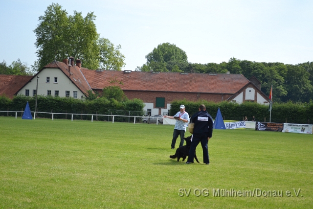 DSC_1261.JPG