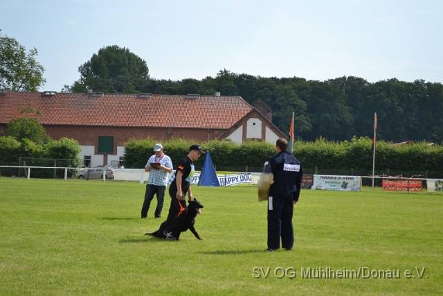 DSC_1263.JPG