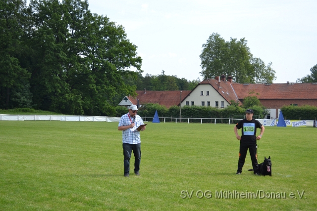 DSC_1264.JPG