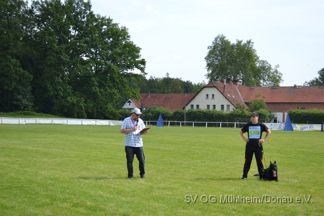 DSC_1265.JPG