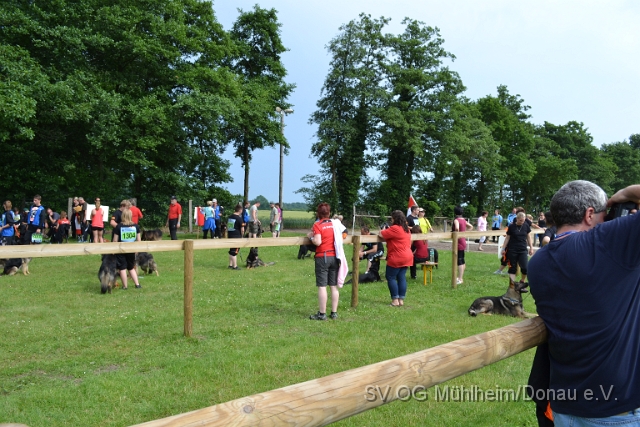 DSC_1276.JPG