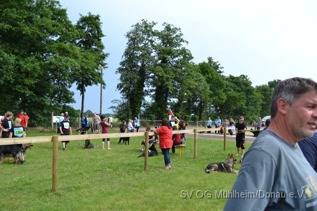 DSC_1277.JPG