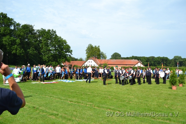 DSC_1284.JPG