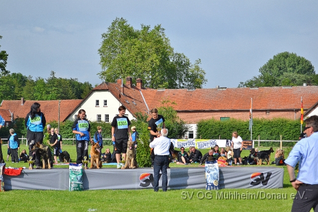 DSC_1285.JPG