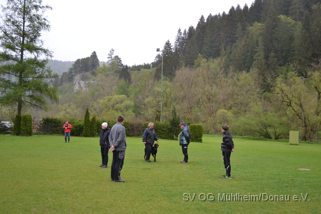 DSC_0950.JPG