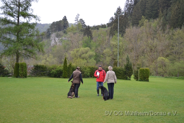DSC_0974.JPG