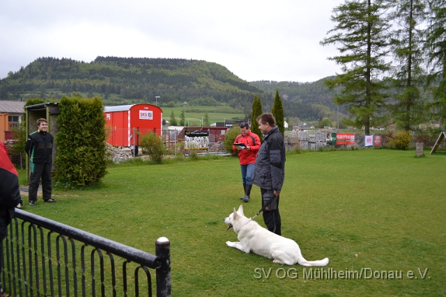 DSC_1000.JPG