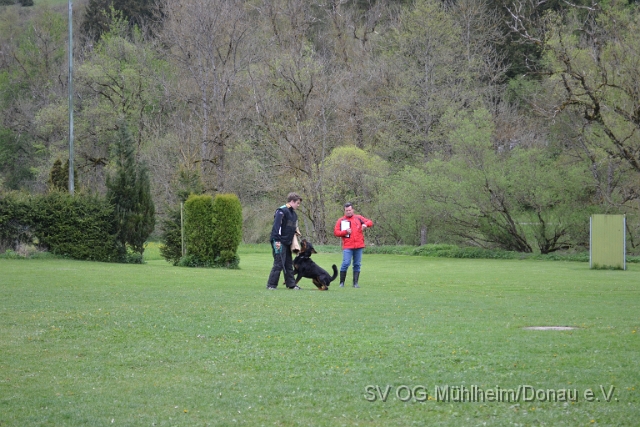 DSC_1017.JPG