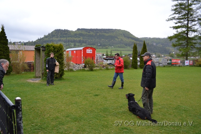 DSC_1018.JPG