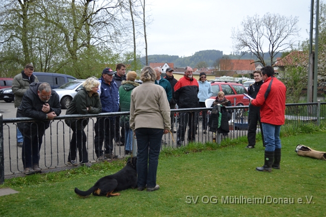 DSC_1036.JPG