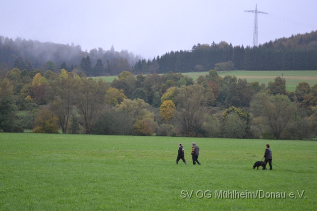 DSC_1601.JPG