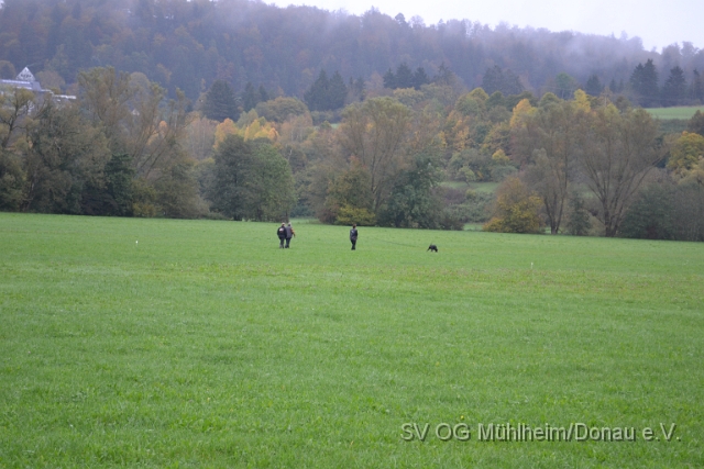 DSC_1602.JPG