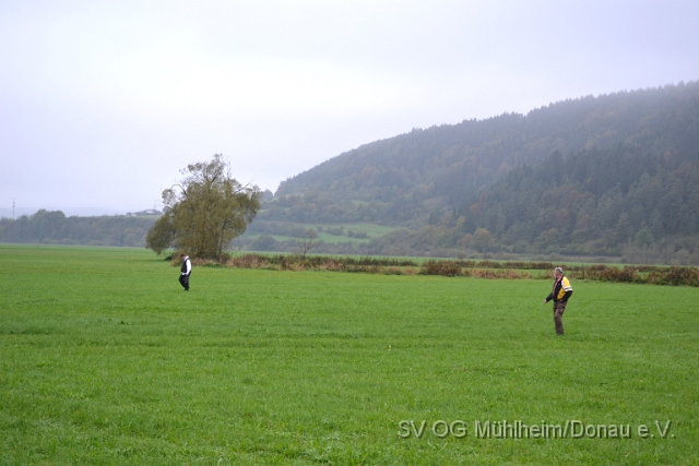 DSC_1605.JPG