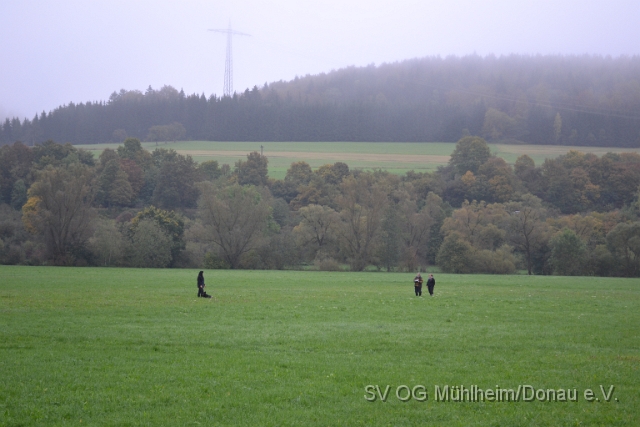 DSC_1607.JPG