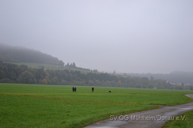 DSC_1609.JPG