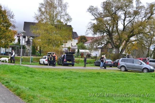 DSC_1610.JPG