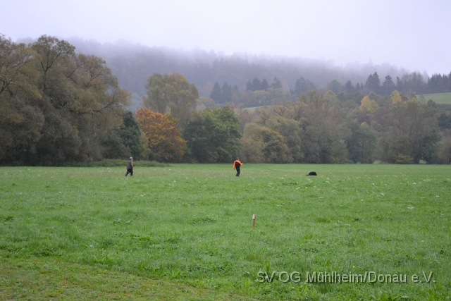 DSC_1612.JPG