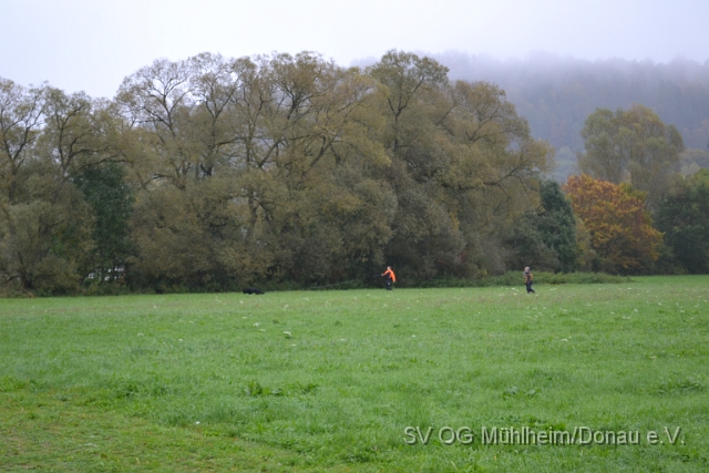 DSC_1613.JPG