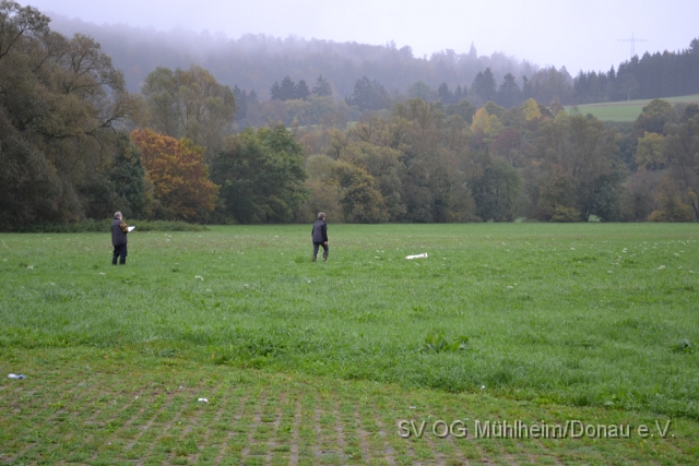 DSC_1614.JPG