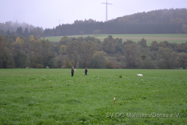 DSC_1615.JPG