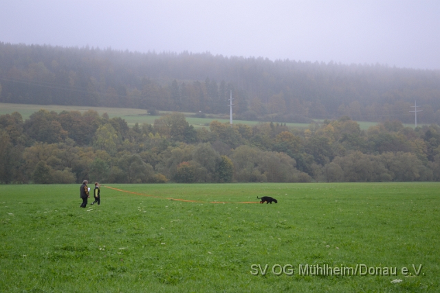 DSC_1616.JPG