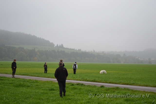DSC_1618.JPG
