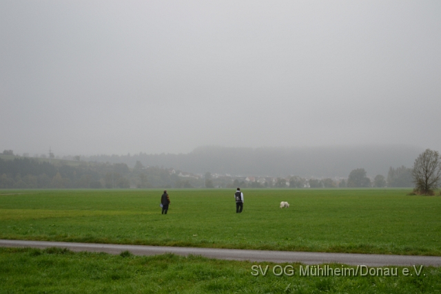 DSC_1619.JPG