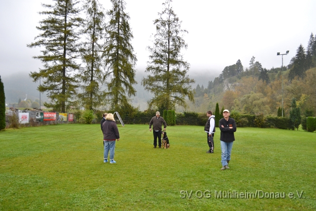 DSC_1620.JPG