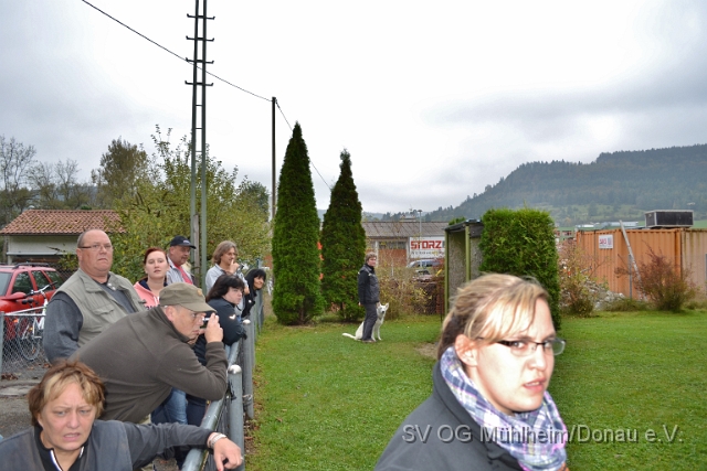 DSC_1630.JPG