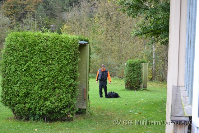 DSC_1631.JPG