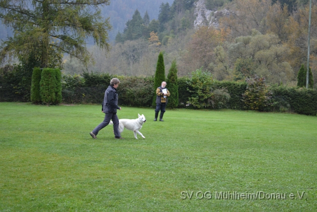 DSC_1632.JPG