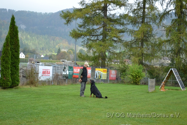 DSC_1645.JPG