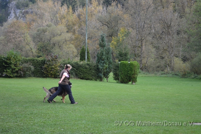 DSC_1646.JPG
