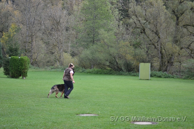 DSC_1647.JPG