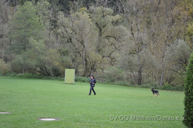 DSC_1653.JPG