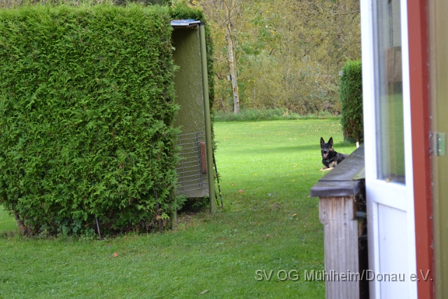 DSC_1657.JPG