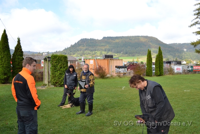DSC_1662.JPG