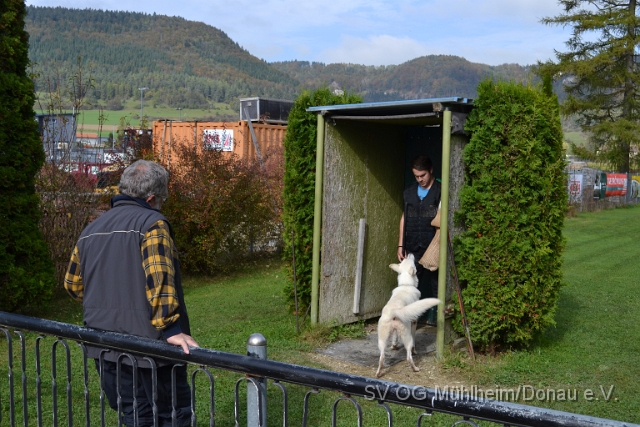 DSC_1664.JPG