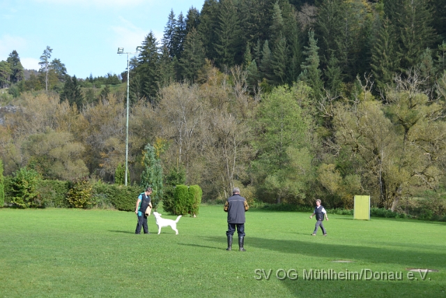 DSC_1665.JPG