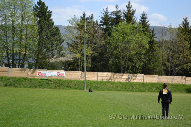 DSC_1103.JPG