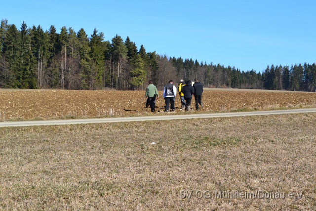 DSC_0786.JPG