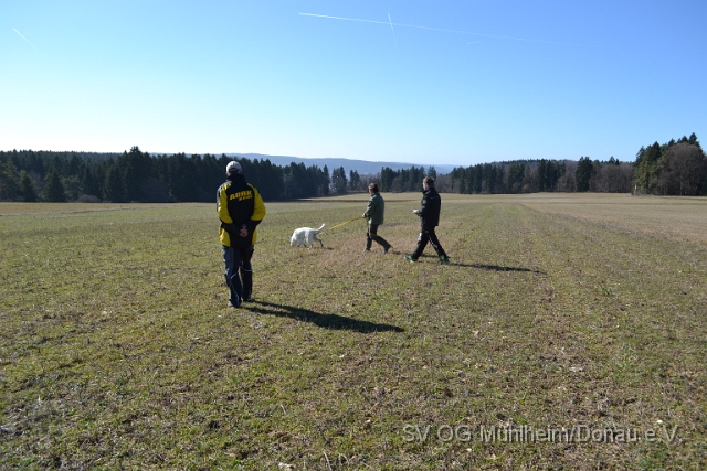 DSC_0796.JPG