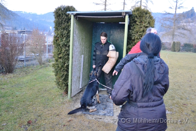 DSC_0597.JPG