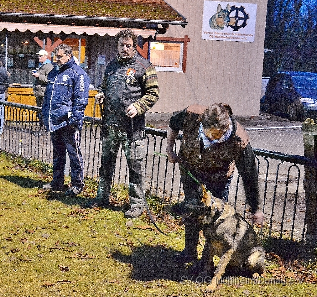 DSC_0624.JPG
