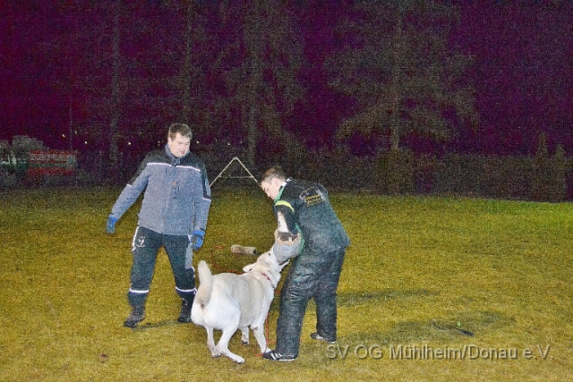 DSC_0638.JPG