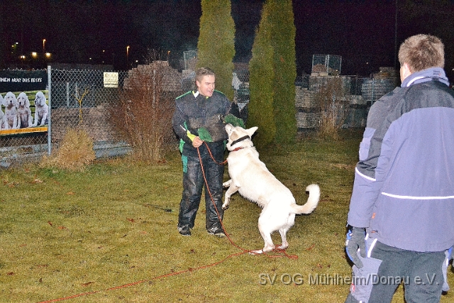 DSC_0639.JPG