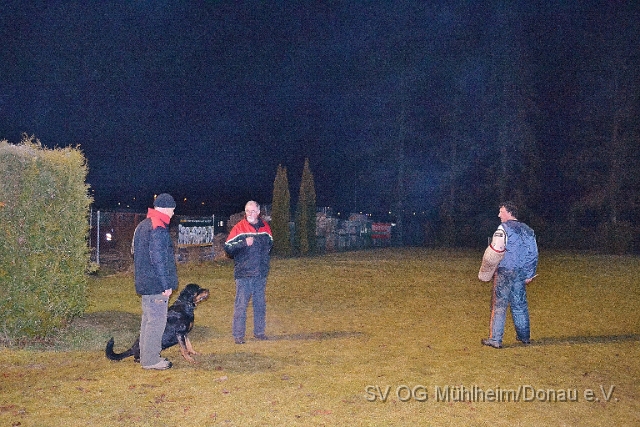 DSC_0642.JPG