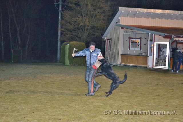 DSC_0644.JPG