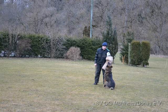 DSC_0737.JPG